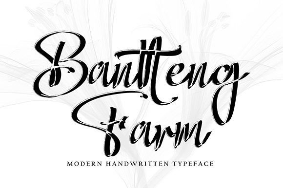 Bantteng Farm: A Handwritten Font for Polished Branding