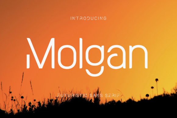 Molgan: A Modern Sans Serif Font for Bold Branding