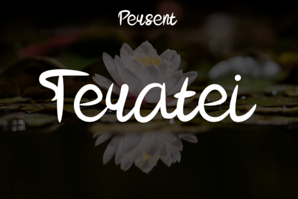 Teratei: A Handwritten Font for Modern Web Design
