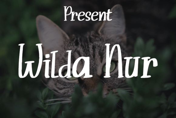 Wilda Nur: A Modern Script Font for Editorial Elegance